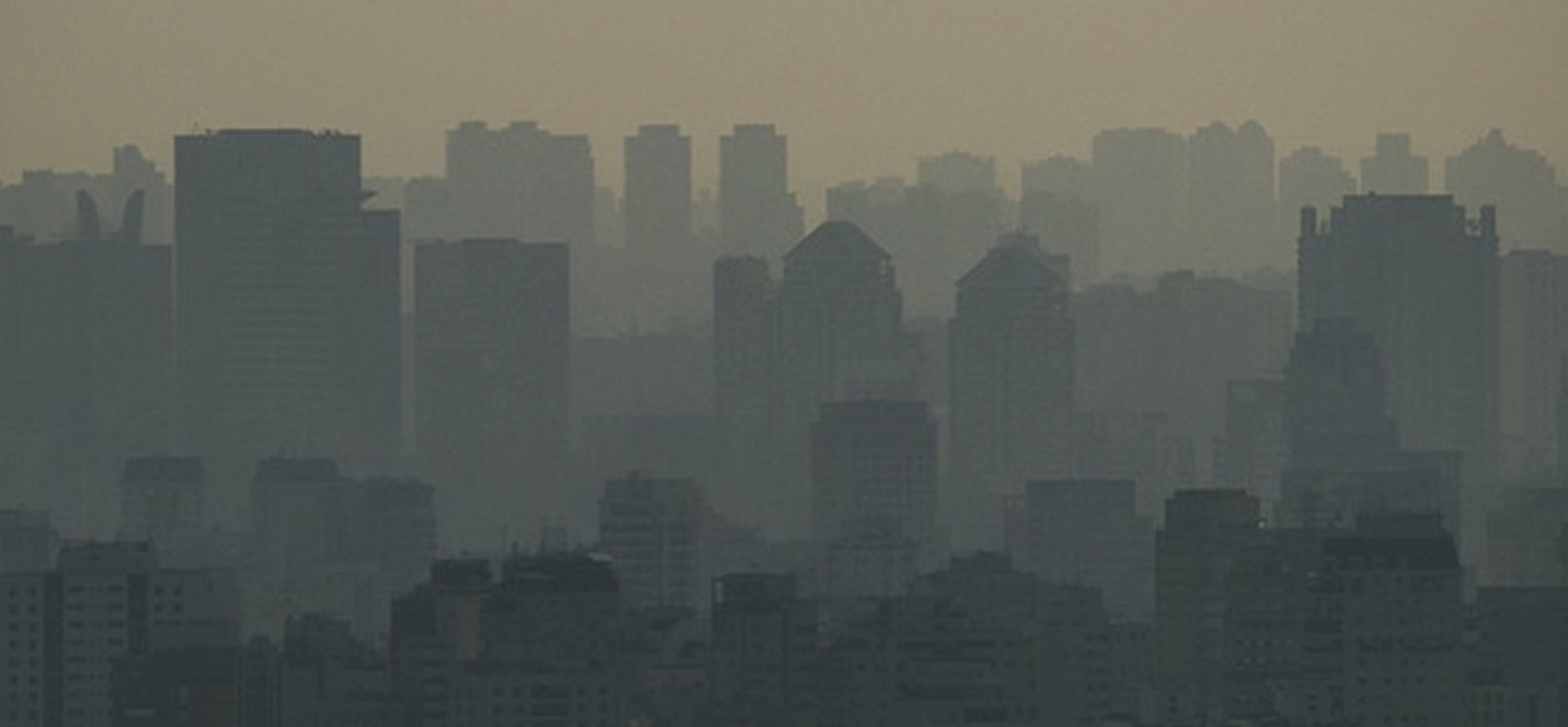 As terríveis toxinas ambientais