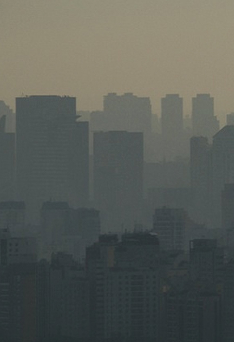 As terríveis toxinas ambientais