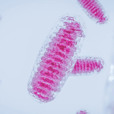 Sabe o que é inflammaging? Deveria.